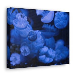 Blue Marshmallow Jellyfish Serenity Canvas (10" x 8"), (20" x 16"), and (24" x 24")