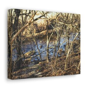 Whispers of Tranquility: Leafless Tree Walkway to Pond Canvas (10" x 8") and (20" x 16")